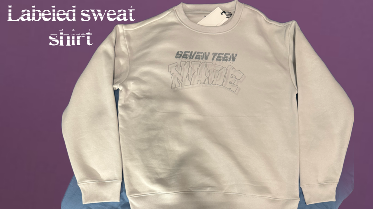 sweat shirt